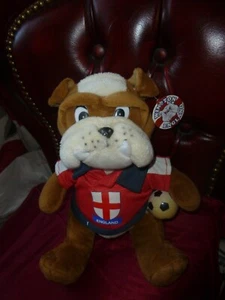 Britische Englische Bulldogge Plüsch Posh Paws Winston England Nr. 9 Shirt/GRATIS PP. - Bild 1 von 6