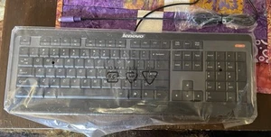 Plugin Lenovo Brand Keyboard - Photo 1/2