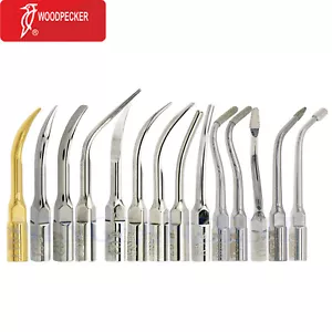 Puntas de pájaro carpintero 100 %, pieza de mano escaladora piezoeléctrica dental EMS - Imagen 1 de 150