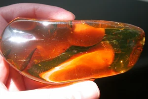 Hermoso Fósil Ámbar Dominicano Calidad GEMA con Insectos GRANDE 71 g Talla - Imagen 1 de 15