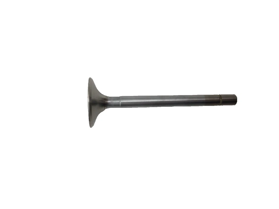 VALVOLA ASPIRAZIONE DUCATI MONSTER 400 SUPERSPORT 600 INTAKE VALVE CD 21010191A Foto 1 de 4