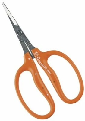 Japanese CHIKAMASA B-500SL Grape Harvesting Scissors 155mm Gardening Agriculture - Image 1 of 4