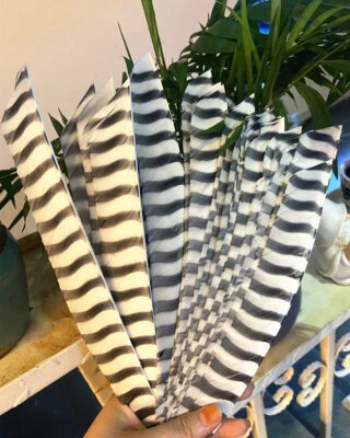 50pcs Archery 7-9in RW Barred Cut Fletches Turkey Feather DIY Hunting Arrows - Image 1 of 4