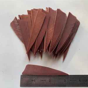 50PCS 3inch Brown Shield Fletches Feathers Fletching Vanes RW LW - Picture 1 of 6