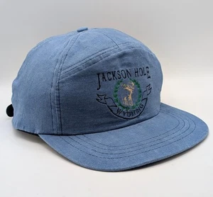 Cappello vintage Jackson Hole Wyoming vintage cinturino posteriore camionista blu western grande gioco - Foto 1 di 5
