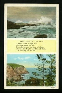 Gedicht Gedicht Dichter Postkarte Köder Meer Ozean Curt Teich weißer Rand - Bild 1 von 2