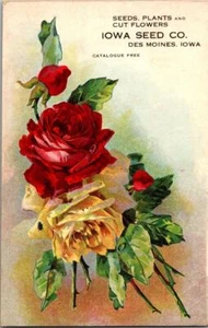 Vintage Iowa Seed Company Des Moines Iowa  Advertising Postcard Flowers Rose - Picture 1 of 1