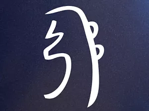 Autocollant sticker guérison mentale émotionnelle japonaise REIKI SYMBOLE SEI HE KI énergie - Photo 1 sur 1