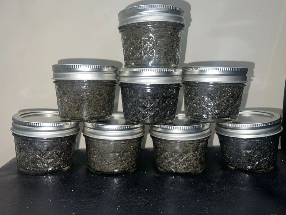 Selling wild black caviar Paddlefish - Image 1 of 4
