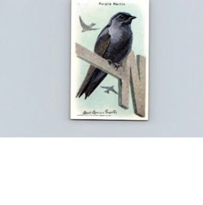 1938 Arm & Hammer Useful Birds of America 9th Series Purple Martin No 14 - Picture 1 of 2