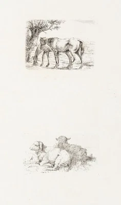 Tierstudien mit Pferden und Schafen, Rad. Biedermeier Unbekannt (19.Jhd) - Bild 1 von 4