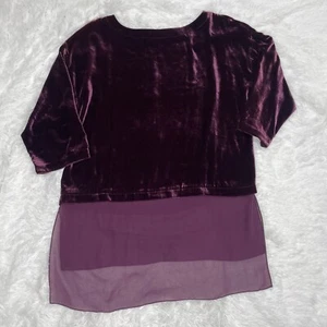 Top túnica transparente de terciopelo Eileen Fisher para mujer talla M mediana púrpura seda rayón - Imagen 1 de 10