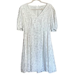 Club Monaco Textured Puff Sleeve V Neck Dress Womens 8 Ivory Fit & Flare - Picture 1 of 8