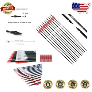High-Quality Carbon Arrows - 12 Pack with Removable Tips for Archery Enthusiasts - Picture 1 of 8
