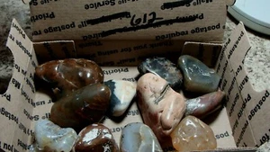 Polished Mixed Agate - All Natural Color Agate From NW USA #612 - Picture 1 of 3