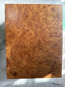 Exquisiter Savinelli italienischer Zigarrenhumidor von 1876 mit Wurzelholz - Bild 1 von 10
