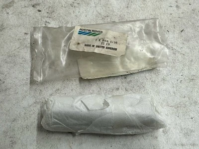 LÁMPARA CORTESÍA INTERIOR AVB 494/BHA 5138 MG MGB (TIENDA SUCIA, CROMO DESALIÑADO) Foto 1 de 4