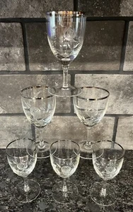 6 Vintage Etched Rose Hand Blown Glass Wine Glasses Platinum Trim Elegant - Picture 1 of 6
