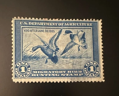 Estampilla de pato federal de Estados Unidos RW1 1934 goma parcial sin usar ENVÍO GRATUITO Foto 1 de 2
