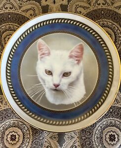 White Cat Collector Plate- CATS COLLECTION - Blue Trim - 8” inch
