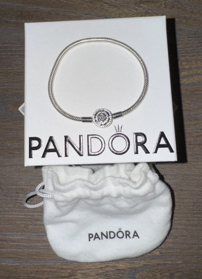 Pulsera Pandora Momentos Halo Serpiente Cadena Plata de Ley 6.3 Pulgadas Foto 1 de 4