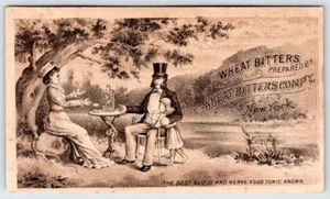 WHEAT BITTERS COMPANY NEW YORK*WOMEN'S DISEASES*QUACK MEDICINE*NERVE FOOD TONIC - Picture 1 of 2