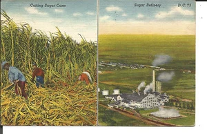 SCHNITT ZUCKERROHR & ZUCKERRAFFINERIE 1942 POSTKARTE - LOT 2 - Bild 1 von 2