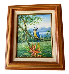 Colorido loro en árbol frente al lago pintura de C Manning - Imagen 1 de 5