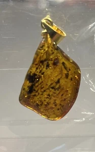 Real Genuine Cognac Amber Beautiful Baltic Amber Necklace/Pendant ~17" Cord - Picture 1 of 5