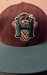 Vintage Hudson Valley Renegades BB Hat MiLB New Era Snapback Dupont Visor Med-LG - Picture 1 of 10