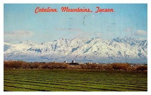 POSTAL - Santa Catalina Mountains Tucson Arizona Snow Green Field 33131-B - Imagen 1 de 6