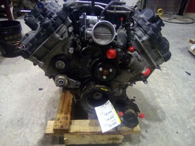 5.0L V8 OHV 16V Engine ML3Z6007K Fits 21-25 F150 w/o inverter 3114216 - Image 1 of 4