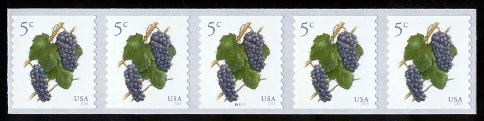 #5038 5c Pinot Noir Grapes, PNC P111111 Mint **ANY 5=FREE SHIPPING** - Image 1 of 1