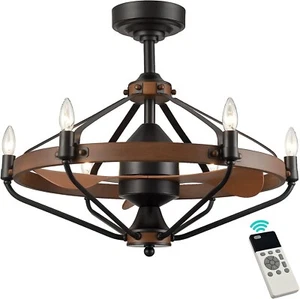 Caged Ceiling Fan with Lights Remote Control, 24 Inch Farmhouse Ceiling Fans - Picture 1 of 8