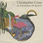CHRISTOPHER CROSS IN THE BLINK OF AN EYE / RENDEZVOUS 1992 RECORD GERMANY 7" PS