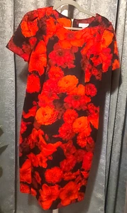 Calvin Klein Floral Scuba Sheath Dress Sz 12 Red Black Short Sleeve Below Knee - Picture 1 of 7