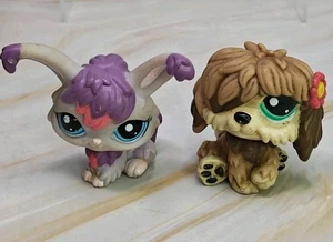 Littlest Pet Shop Pet Pairs: Prized Pets #1815 Rabbit & #1816 Sheepdog - Picture 1 of 5