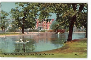 Duck Pond, Washington Park, Chicago VTG Postcard SK2. - Picture 1 of 2