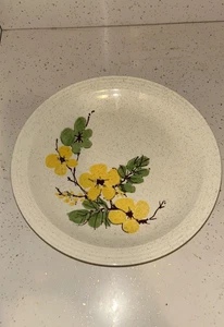 "Juego de 4 platos de cena vintage Homer Laughlin frescos y verdes con diseño floral de 10""" - Imagen 1 de 11