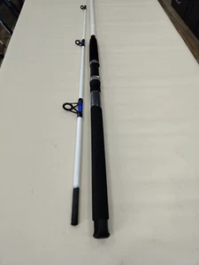 New 10 Ft Game Fish Pro DX Series Fishing Rod Catfish Rod - Picture 1 of 13