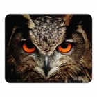 Mousepad "Eule" - Tiere - 24x19cm - UHU - KIauz - Mauspad