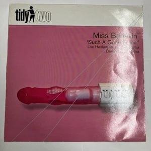 Miss Behavin' – Such A Good Feelin' - Tidy Two 12" Vinyl 2002 UK Hard House - Picture 1 of 4