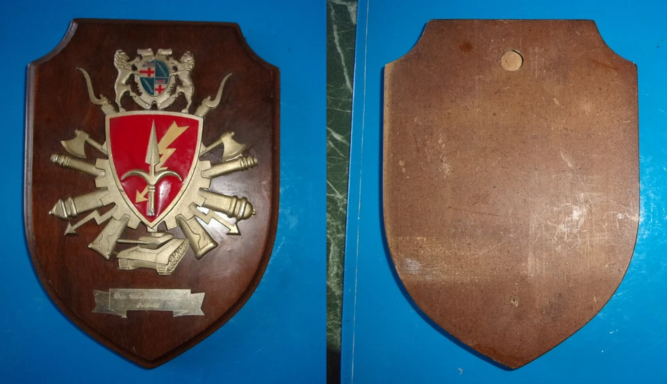 ESERCITO Crest V CORPO D'ARMATA Brigata TRIESTE FOLGORE targhetta comandante BTG - Immagine 1 di 1