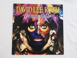 David Lee Roth "Sonrisa Salvaje" Pristine NEVER PLAYED 1986 Spanish Pressing! - Foto 1 di 9