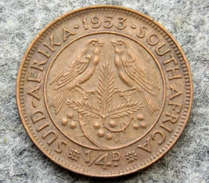 SOUTH AFRICA ELIZABETH II 1953 1/4 PENNY, CAPE SPARROWS ON ACACIA BRANCH - Picture 1 of 6