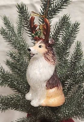 Cuernos de perro oveja Shetland-4" Kurt Adler gemas nobles vidrio Navidad orn-KA46-NB1261 Foto 1 de 2