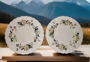 VTG. Staffordshire England Myott Hedgerow Olde Chelsea 6.5” Bread Plate Set Of 2 - Picture 1 of 9