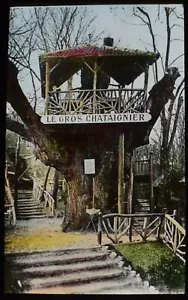 Diapositiva de linterna mágica LE PLESSIS ROBINSON LE GROS CHATAIGNIER C1928 FOTO DE COLECCIÓN - Imagen 1 de 2