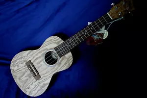 Eddy Finn Concert Ukulele, All Ash, Open Matte Finish, Beautiful, EF-ASH-N - Picture 1 of 8