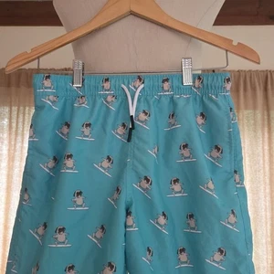 MAAMGIC - Youth Boys - Surf Society Pug Print Swim Shorts - Turquoise - Size 14/ - Picture 1 of 8